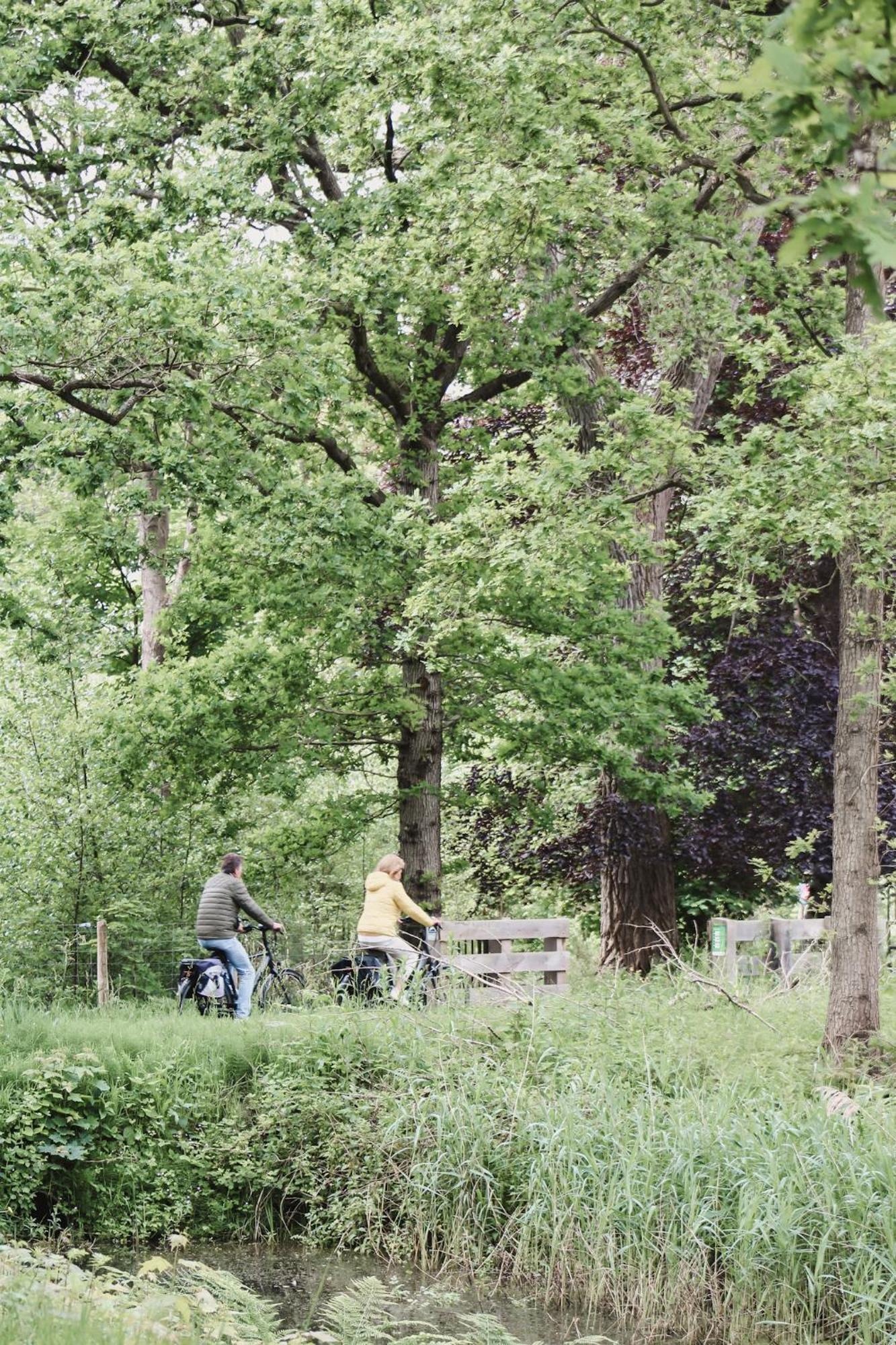 Zoomers Aan Het Bos Castricum Eksteriør bilde